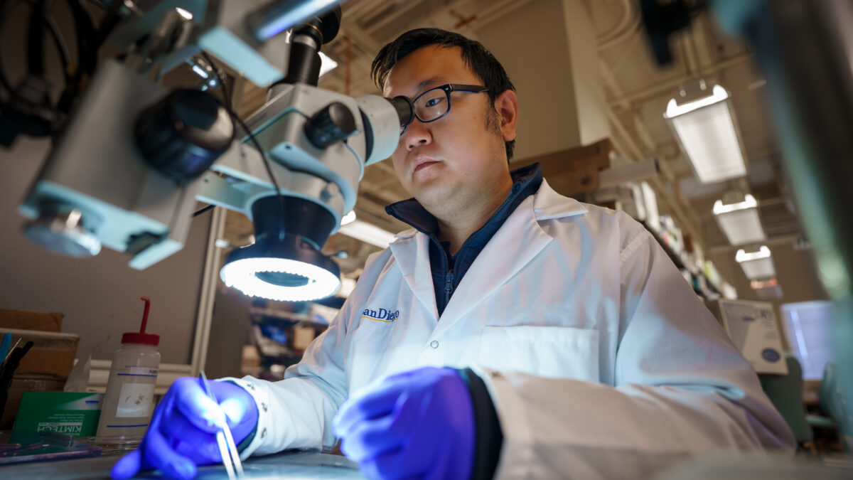 How Body Imaging Plays a Role in Cardiovascular Health Monitoring