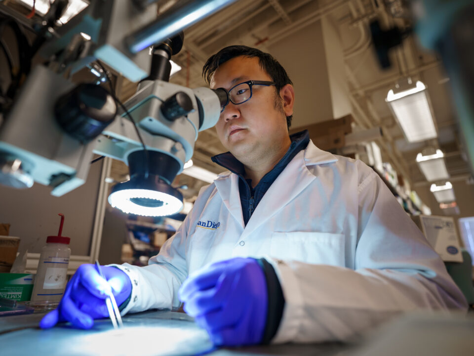 How Body Imaging Plays a Role in Cardiovascular Health Monitoring